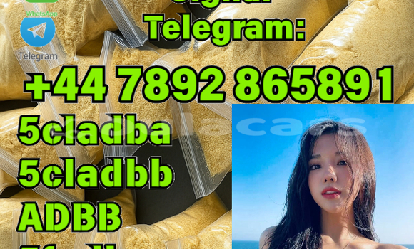 Buy New Bedford CFS Brown Car in Korokade in Northern