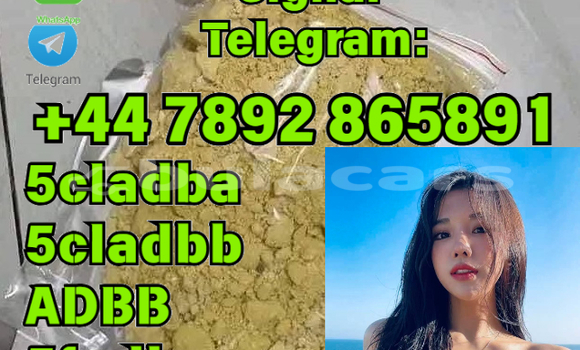 Buy New Bedford CFS Brown Car in Korokade in Northern Buy New Bedford CFS Brown Car in Korokade in Northern