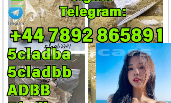 Buy New Bedford CFS Brown Car in Korokade in Northern Buy New Bedford CFS Brown Car in Korokade in Northern