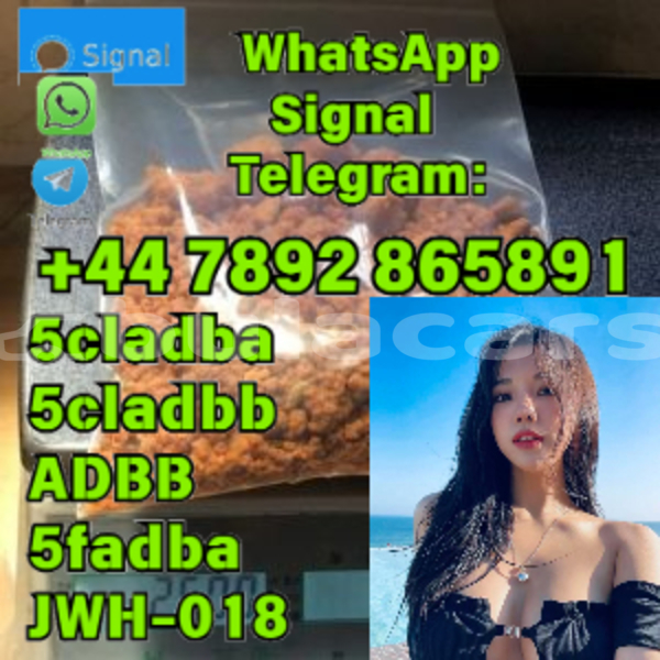 Big with watermark alpina b5 western komave 12148