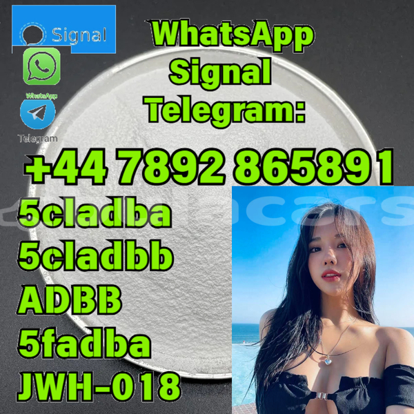 Big with watermark alpina b5 western komave 12148