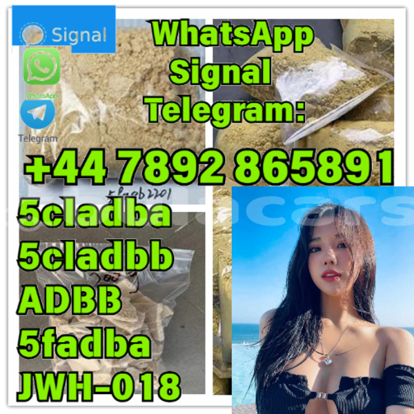 Big with watermark alpina b5 western komave 12148