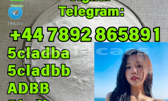 Buy New Ajs DD Black Bike in Korovou in Central Buy New Ajs DD Black Bike in Korovou in Central