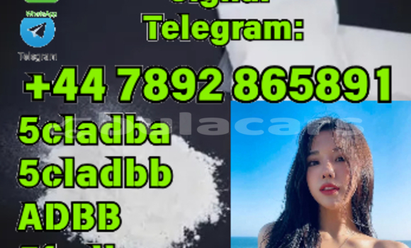 Buy New Ajs DD Black Bike in Korovou in Central Buy New Ajs DD Black Bike in Korovou in Central