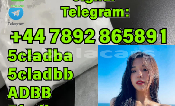 Buy New Ajs DD Black Bike in Korovou in Central Buy New Ajs DD Black Bike in Korovou in Central