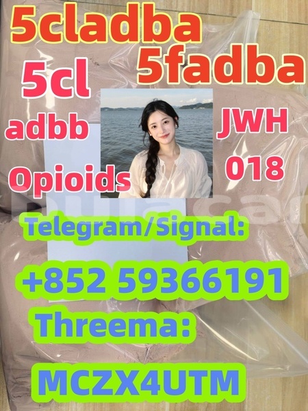Big with watermark asia retona central import dubai 12163