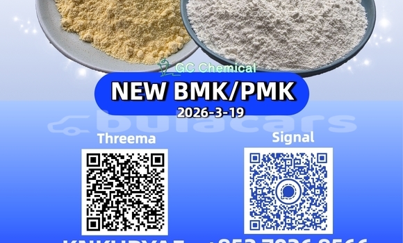 Medium with watermark 20