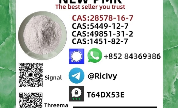 Buy New Bentley Continental White Car in Komave in Western