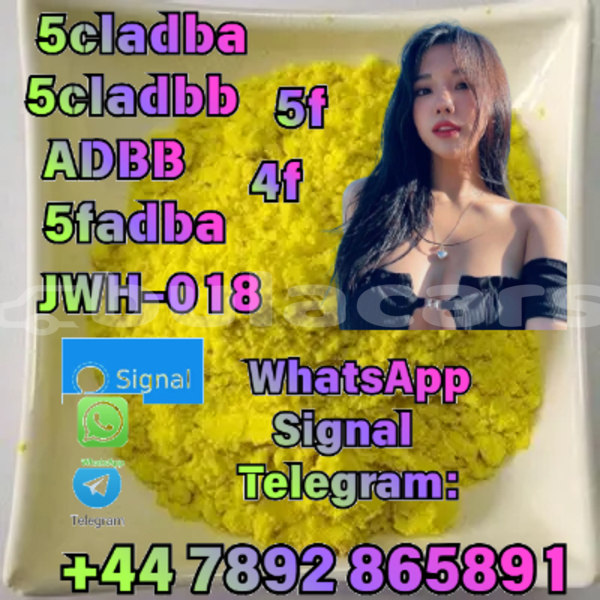 Big with watermark alfa romeo 147 central import dubai 12213