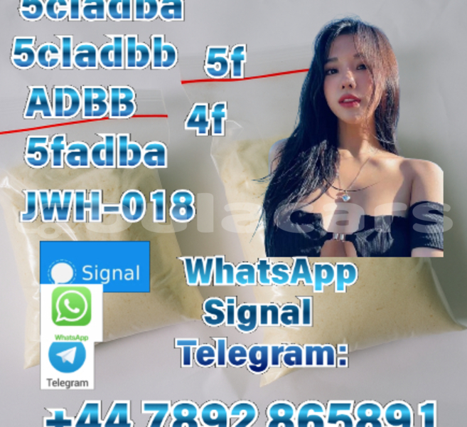 Big with watermark adler trumpf junior central import dubai 12214