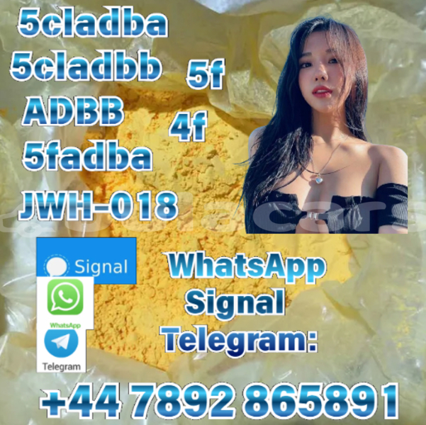 Big with watermark alpina b4 central import dubai 12215