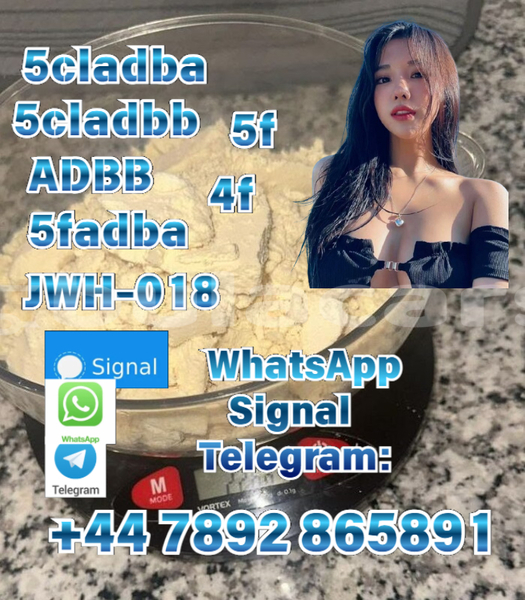 Big with watermark alpina b4 central import dubai 12215