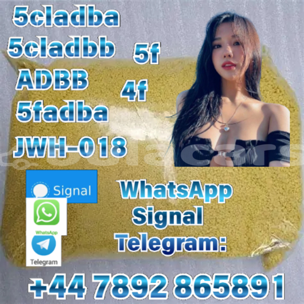 Big with watermark alpina b4 central import dubai 12215