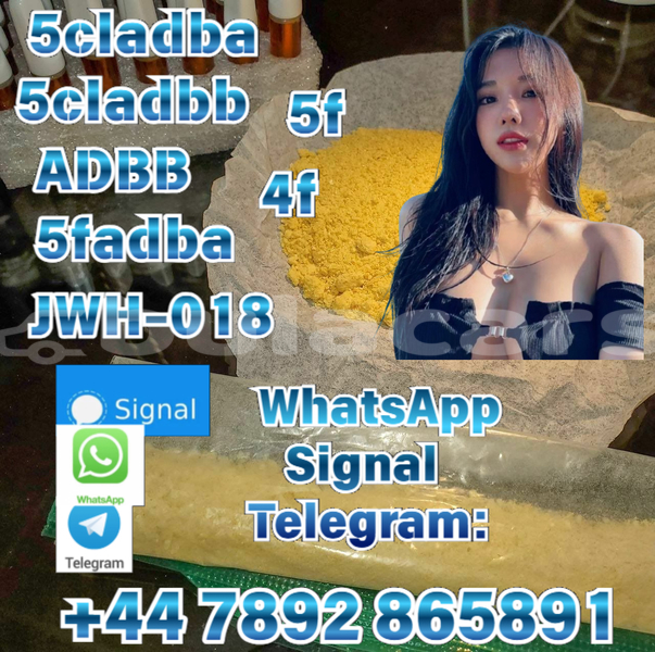 Big with watermark alpina b4 central import dubai 12215