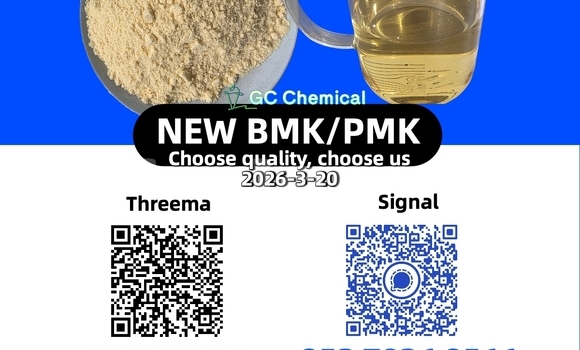 Medium with watermark 51