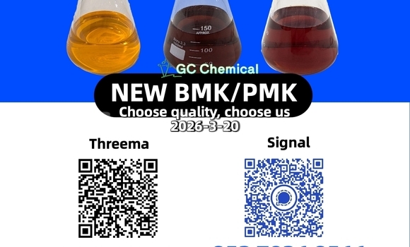 Medium with watermark 53