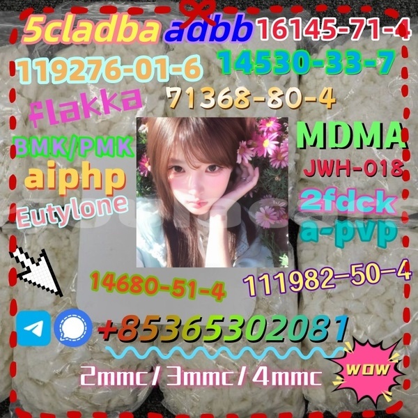 Big with watermark photo 6192803247366981097 x