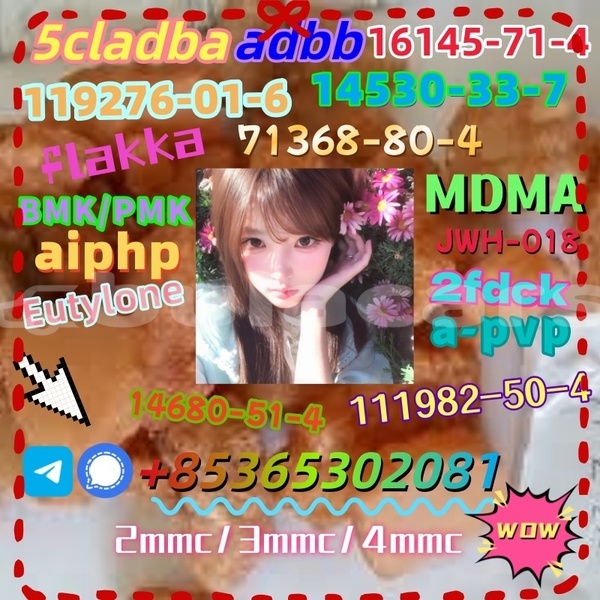 Big with watermark images 10 