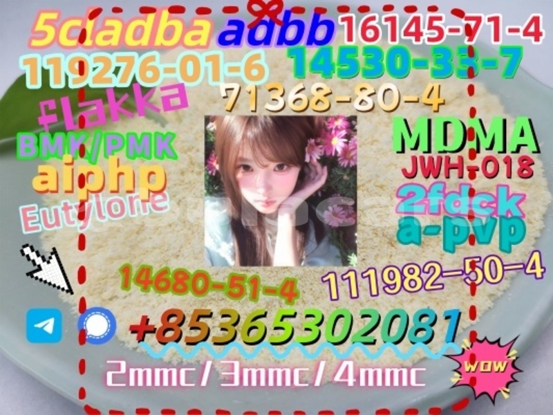 Big with watermark %e5%be%ae%e4%bf%a1%e5%9b%be%e7%89%87 20230321110602