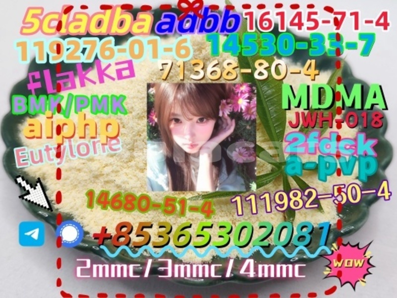 Big with watermark %e5%be%ae%e4%bf%a1%e5%9b%be%e7%89%87 20230321110608