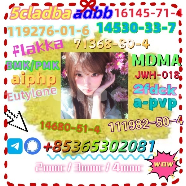 Big with watermark 1 22 