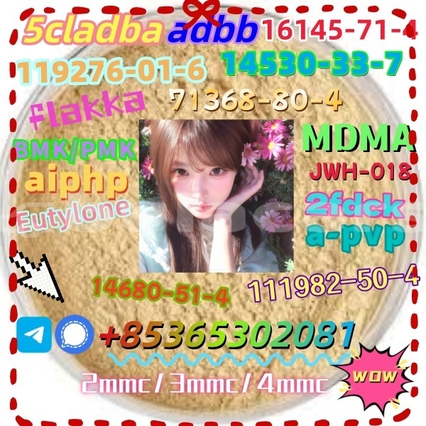 Big with watermark 1 23 