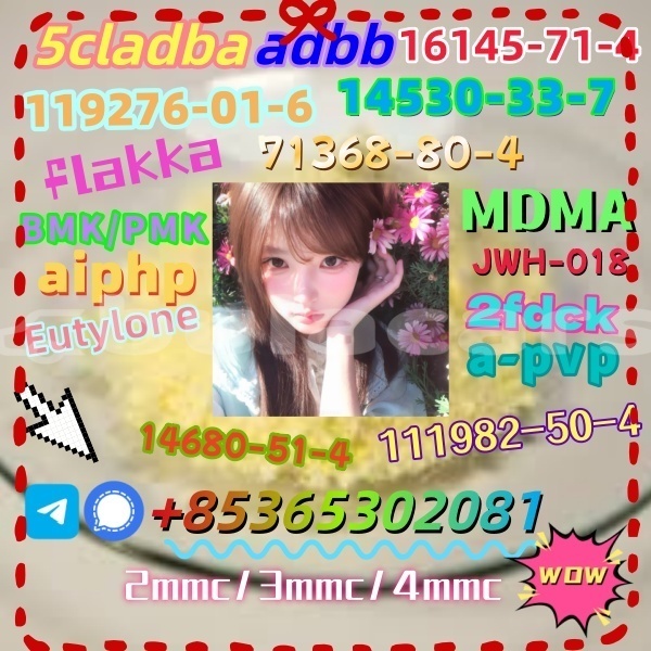 Big with watermark 1 24 