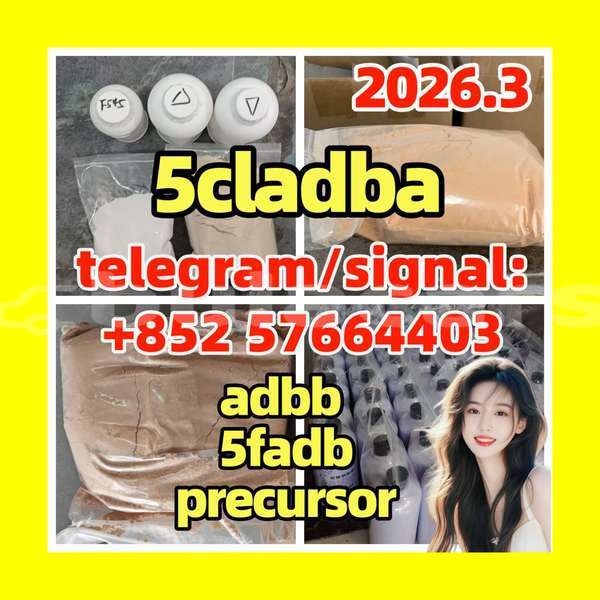 Big with watermark 5c2