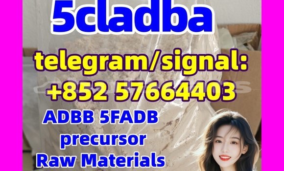 Medium with watermark 55