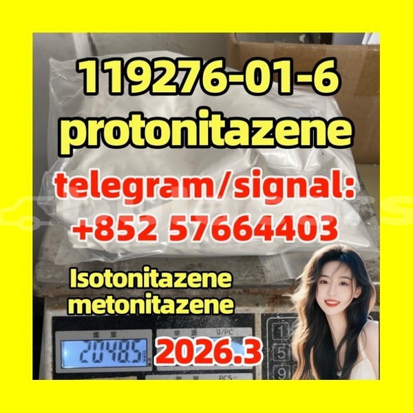 Big with watermark pro2