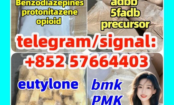 Medium with watermark z4