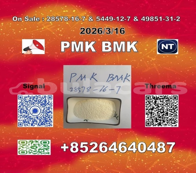 Big with watermark 2026 03 18 110328 %e5%89%af%e6%9c%ac %e5%89%af%e6%9c%ac