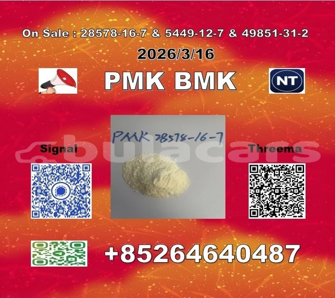 Big with watermark 2026 03 18 110356