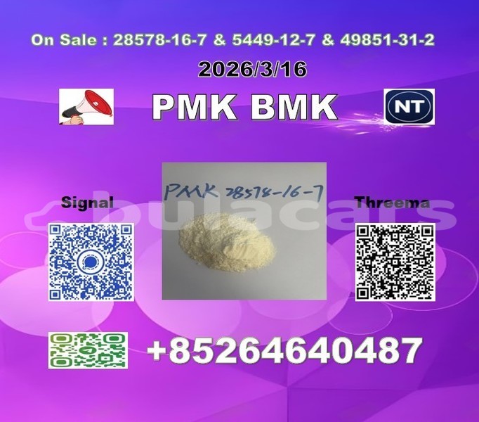 Big with watermark 2026 03 18 110238