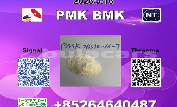 Medium with watermark 2026 03 18 110238