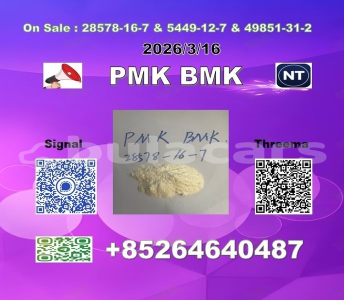 Big with watermark 2026 03 18 110256 %e5%89%af%e6%9c%ac 2