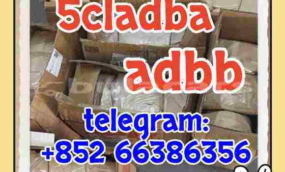 Medium with watermark 2