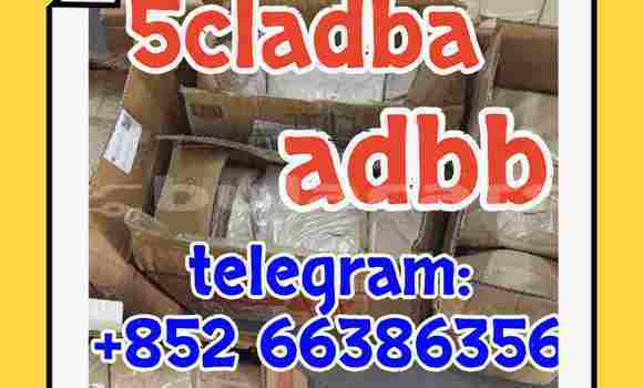 Medium with watermark 3