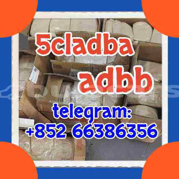 Big with watermark 4