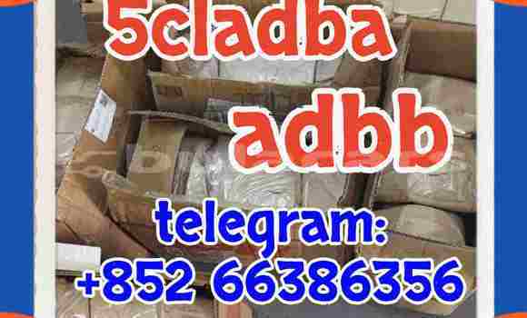  5cl adb 5cladba 等人共同的