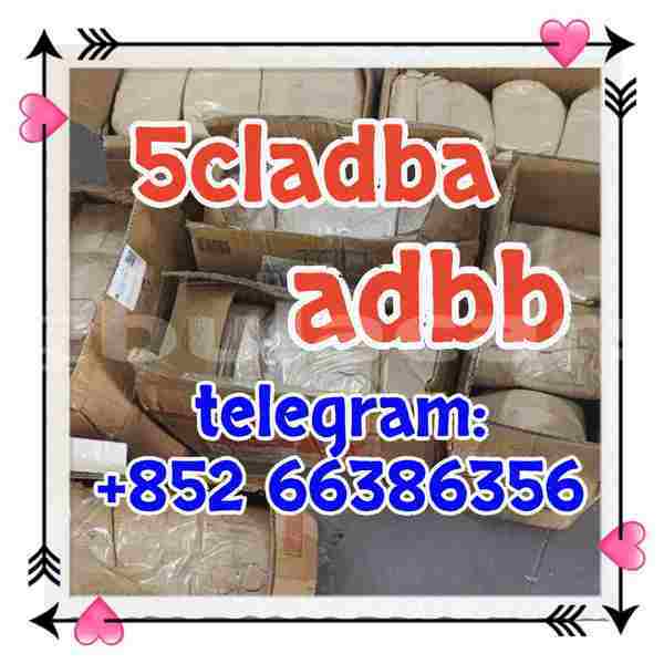 Big with watermark 5