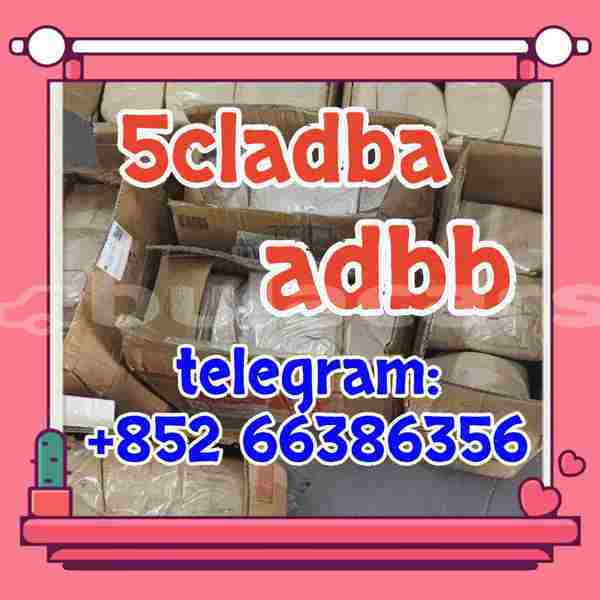 Big with watermark 6