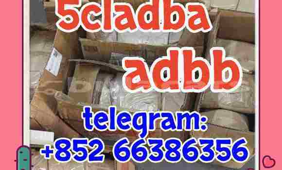  5cl adb 5cladba 大概人读过