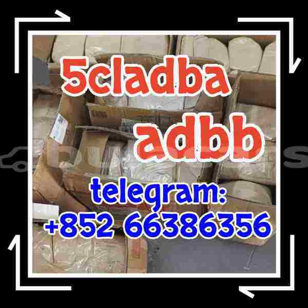 Big with watermark 7