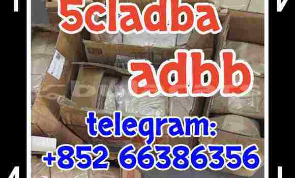  5cl adb 5cladba 人读过他的