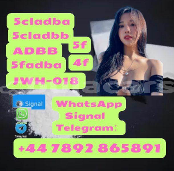 Big with watermark alfa romeo 155 western komave 12295