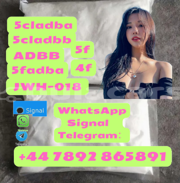 Big with watermark alfa romeo 155 western komave 12295