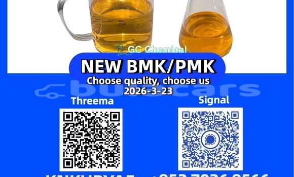 Medium with watermark 31