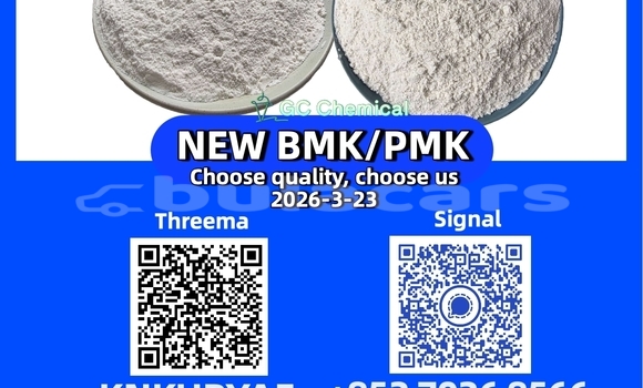 Medium with watermark 32