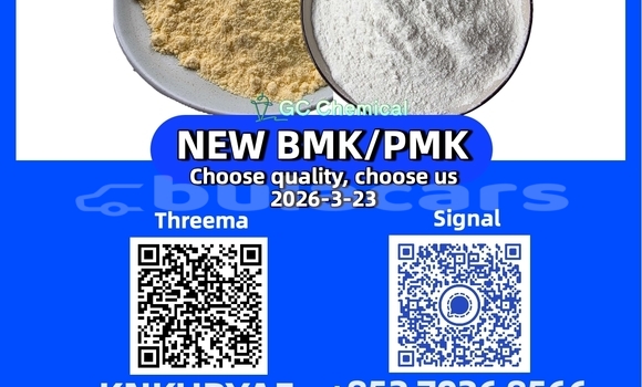 Medium with watermark 34